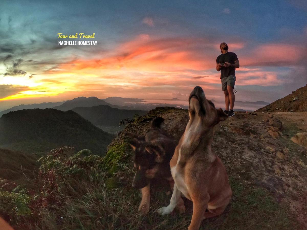 Nachelle Homestay Berastagi Exteriér fotografie